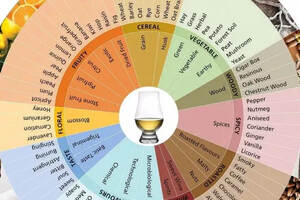 讀懂威士忌的“模樣”