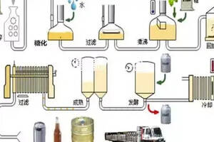 泰山啤酒釀造工藝