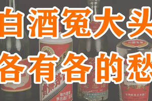 中國4大“慘敗酒”，口碑一流，卻無人問津