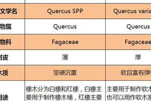 叫了這么多年的“橡木塞”，原來是錯的