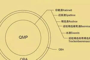 技能丨六個單詞，讓你搞懂德國葡萄酒