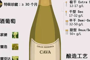 卡瓦起泡酒：一位激情飛揚的西班牙斗牛士