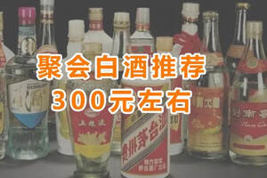 招待客人喝啥酒？這些白酒好喝不貴