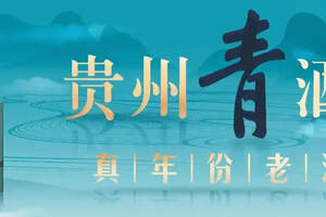 貴州省委書記、省人大常委會主任諶貽琴調研貴州青酒