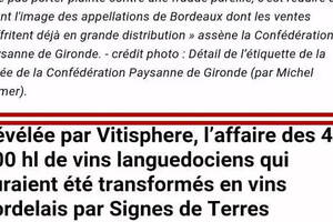 法國紀龍德省葡萄農聯盟主席怒懟波爾多2大協會：必須起訴造假者