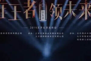 2019“高曝光”的王茅如何導演“王者歸來”一出好戲？