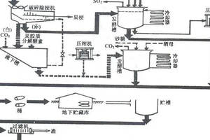 每日葡萄酒知識038（葡萄酒知識科普）