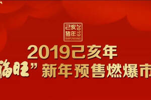 開啟文化白酒新氣象，洋河2019己亥年“大福旺”新年預售燃爆市場