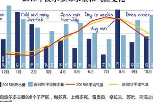 干貨｜2015 年波爾多葡萄收成年份報告