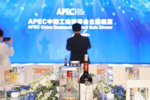 “香遇”APEC，五糧液“數字生產力”獲國際認可