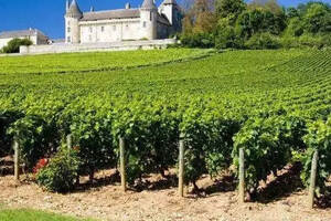 法國勃艮第伯恩(BEAUNE)產區的葡萄酒簡介