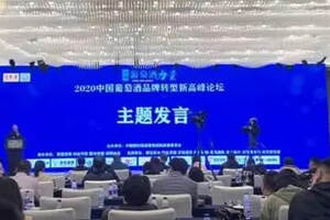 “消費品牌化，品牌消費化”，2020中國葡萄酒品牌轉型新高峰論壇在天津舉行