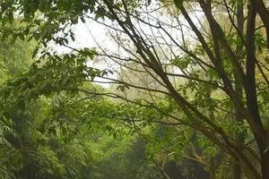 雨霧中的重慶釣魚城，能帶給我們神秘感