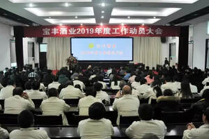 銷售大增后，寶豐“新三年”開局，王若飛亮出什么計劃？