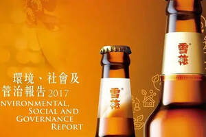 這份52頁、3萬多字的報告，“泄露”了華潤啤酒的“內功”秘笈