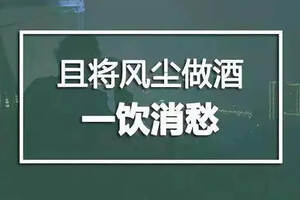 “品質至上”還是“文案至上”？小瓶酒要如何突圍