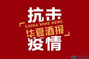 濟南市副市長孫斌蒞臨趵突泉酒業調研復工復產