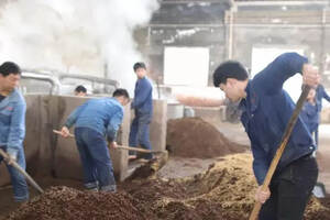 來茅臺，全身都沾滿了醬酒“香味兒”