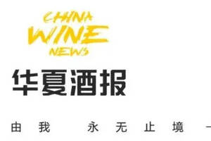 54%與46%的關系，很多中國酒企沒弄懂