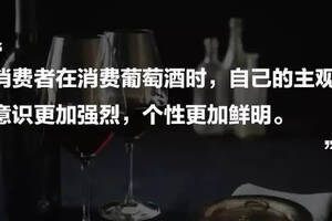 消費者喜歡什么樣的葡萄酒，從數據上找IDEA