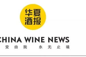 五糧液“碰杯”《華夏酒報》，2019他們布了一個什么局？