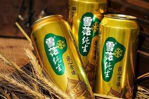 金星啤酒價格表 報價