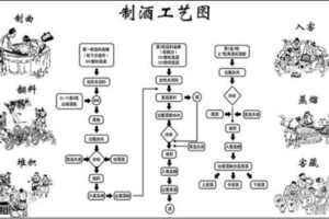 益陽春人參蛹蟲草發酵酒