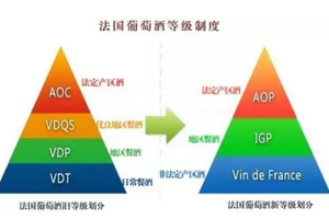 列級酒莊具體名單