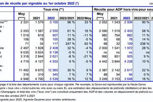 法國整體產能有望超西班牙，香檳、勃艮第增長明顯