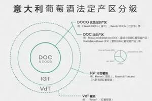 DOC和DOCG有什么區別？（docg級紅酒是什么級別）