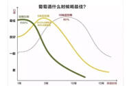 永州異蛇酒保質期5年的