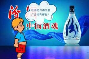 關于經典的白酒品牌廣告詞，你了解幾個？