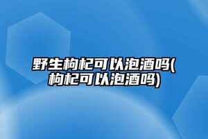 枸杞酒可以反復泡幾次