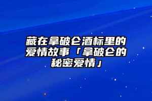 藏在拿破侖酒標里的愛情故事「拿破侖的秘密愛情」