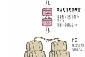 葡萄酒是怎樣釀成的？一張圖看懂全流程~