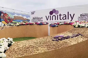 獨家|Vinitaly酒展中國進口商選品需求明確，個性化趨勢凸顯