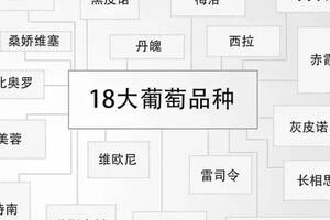 這些學習葡萄酒的基本功，你都會了嗎？