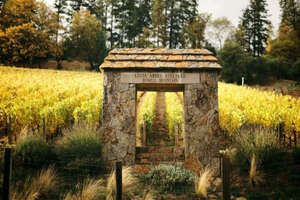 艾伯如酒莊AbreuVineyard