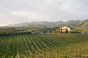 香迷頌酒莊ChamisalVineyards