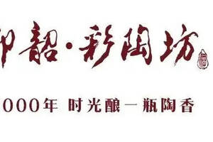 8月31日，仰韶品牌升級發布會盛大啟幕！500架無人機點亮鄭州夜空