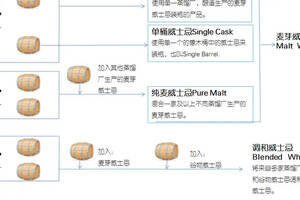 葡萄酒的定義和分類ppt