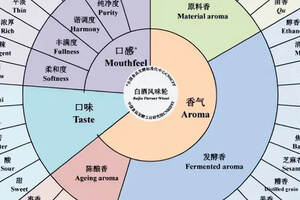 干貨滿滿！聊白酒香型你得先了解這些!