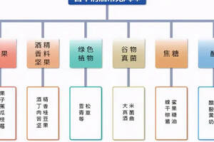 馭凡與你一起了解飲用日本清酒的必備常識