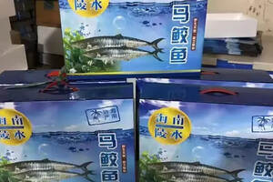 海南特產馬鮫魚：送禮首選，是香煎、油炸海鮮中的極品