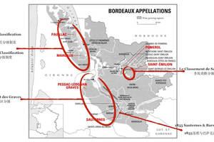 波爾多分級詳解：形形色色的分級制度