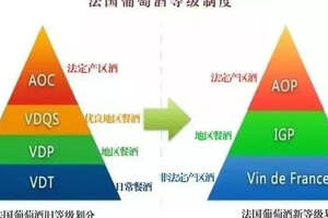 從酒標判斷一款酒價格高低