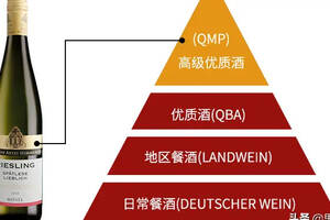 世界級優質雷司令出產國