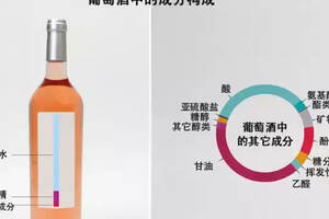 葡萄酒中到底有哪些成分，釀造真的有那么簡單嗎？