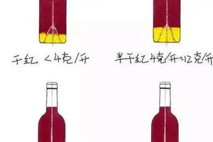 紅酒分酒器還可以干啥