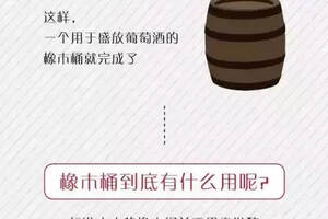 【一分鐘課程】過橡木桶的葡萄酒就是好酒嗎？